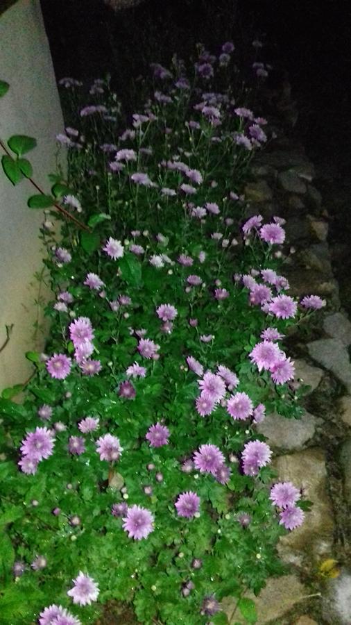 فيلا The House In شيبكا المظهر الخارجي الصورة